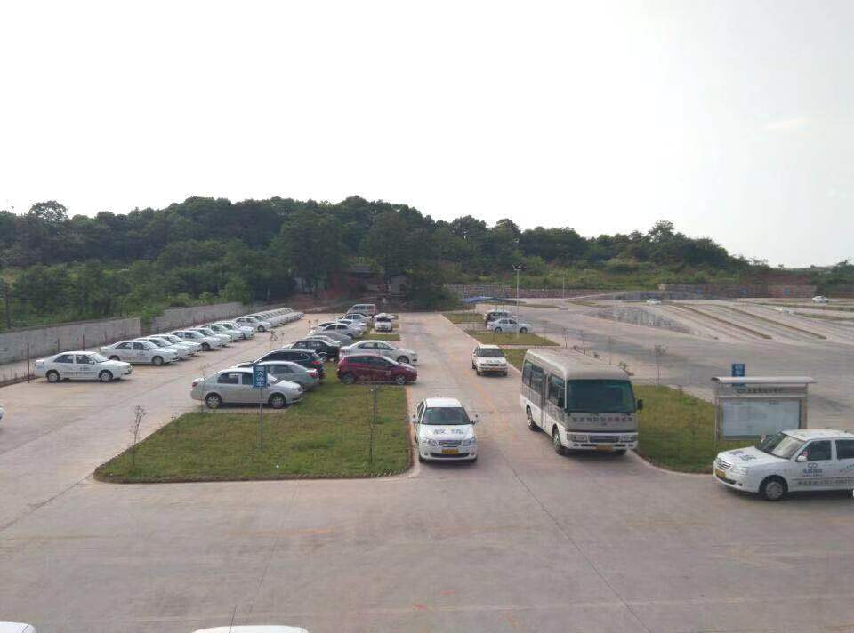 ѵ������