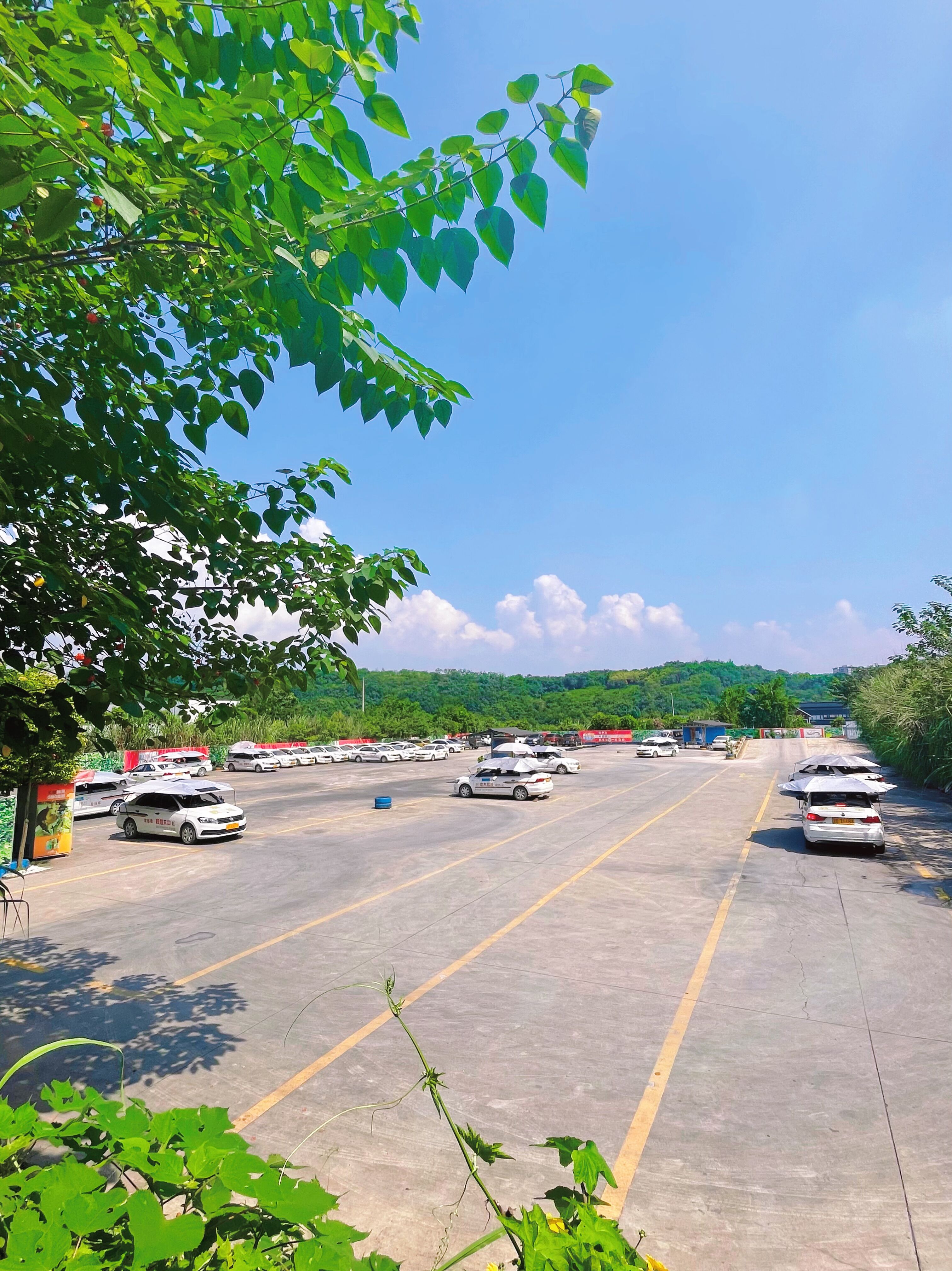 �д��У������У��