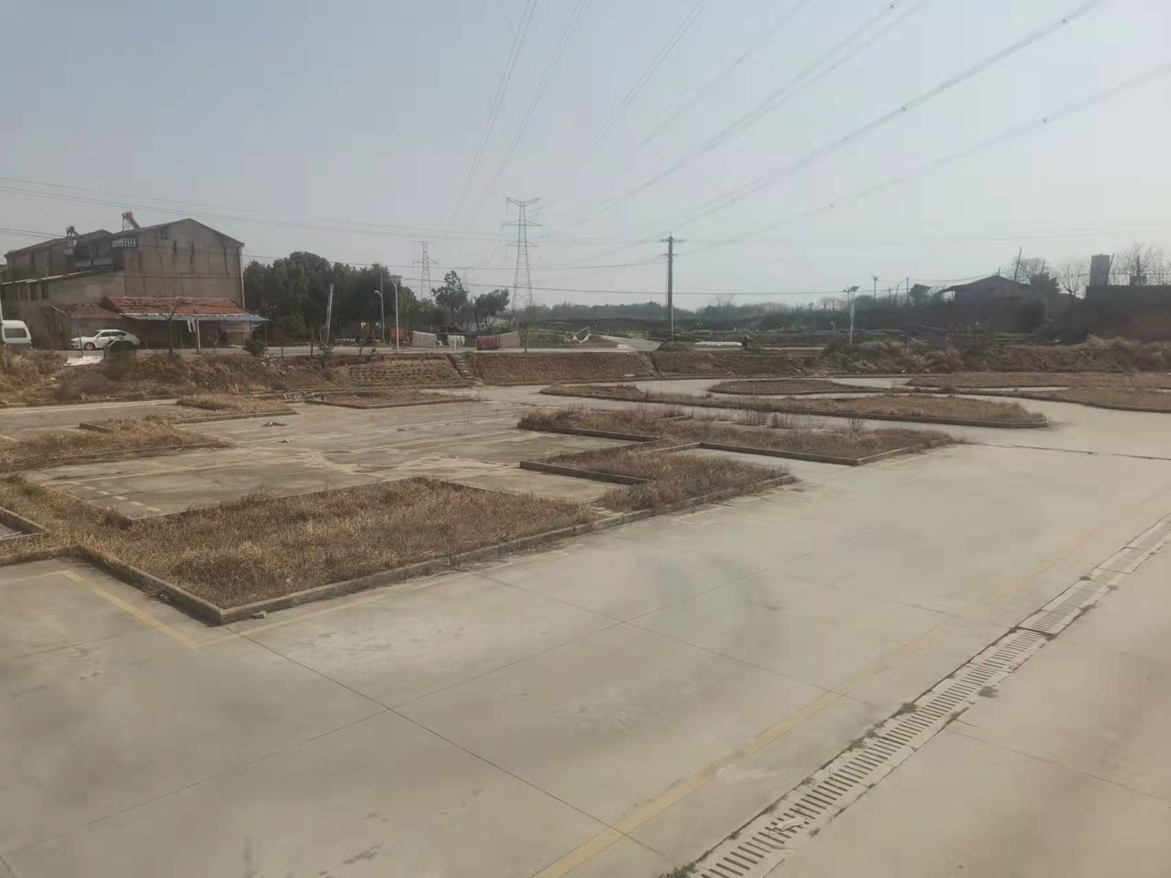 ѵ������