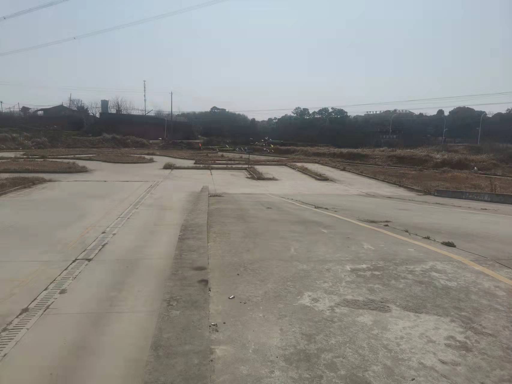 ѵ������